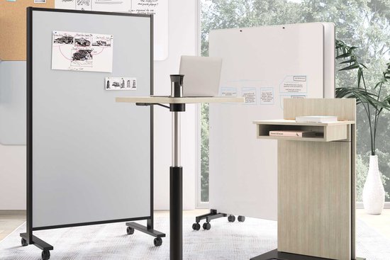 Native and Lok ancillary education products